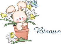 bisous lapin et fleurs